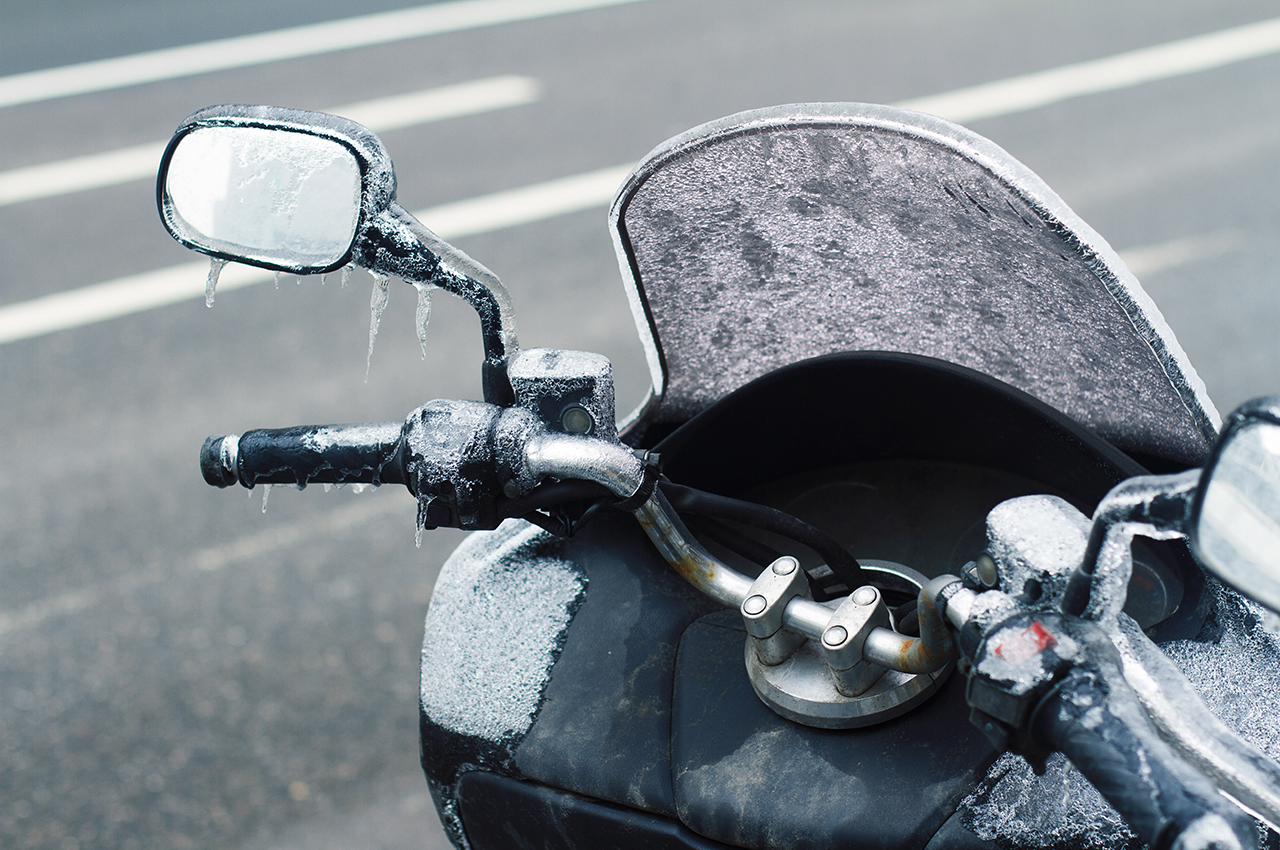 motas no inverno insparedes 2025